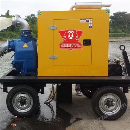 防汛柴油泵车 城市柴油移动泵车 大流量可移动柴油水泵 尺寸齐全