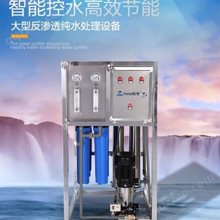 0.25吨反渗透设备工业水处理设备纯净水处理设备矿泉水桶装水