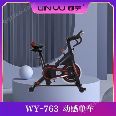 室内磁控动感单车 免维护健身房运动器材可家用