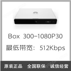 华为 CloudLink Box 300 会议电视终端(1080）4K高清视频会议终端