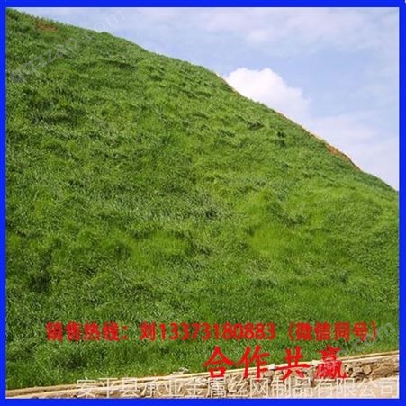 河北承亚厂家直供绿植草籽 边坡防护 矿山复绿 荒山治理绿化 客土喷播