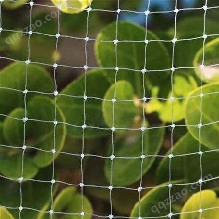 果园防虫保护网 小眼葡萄 pe果树防鸟网 保护蔬菜花卉
