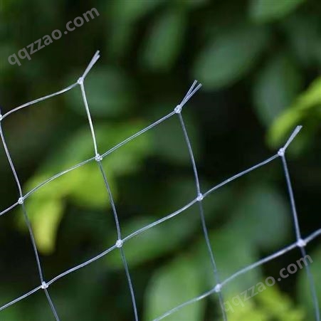 果园防虫保护网 小眼葡萄 pe果树防鸟网 保护蔬菜花卉