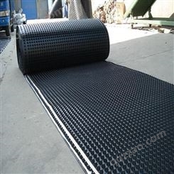 批发防水板 pvc防水板 绿化排水板 毛细排水板 hdpe排水板价格 山东防水板厂家