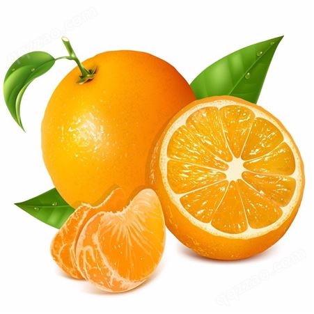 橘子罐头 椰果罐头  山楂罐头_厂家直供