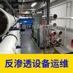 污水处理机器运维 检查保养维护步骤 2吨双级RO反渗透设备运维 凯璇环保