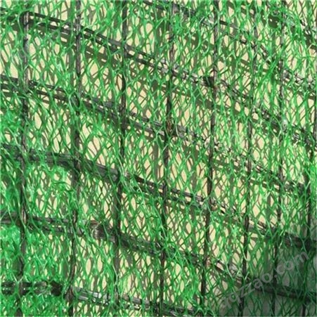 杭州三维植被网em4厂家五层三维植被网护坡用三维植被网厂家
