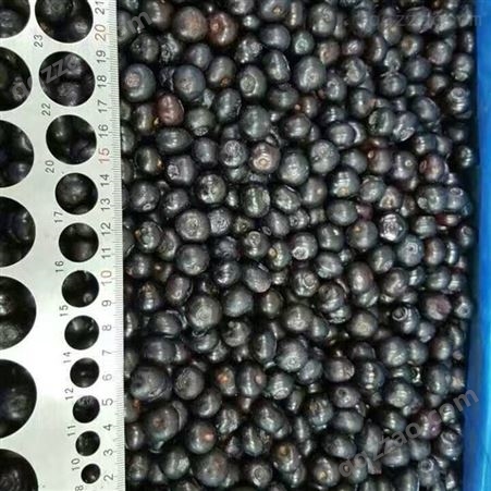 冷冻水果 冷冻蓝莓 速冻蓝莓果蔬冷冻蓝莓 烘焙装饰冷冻水果蓝莓